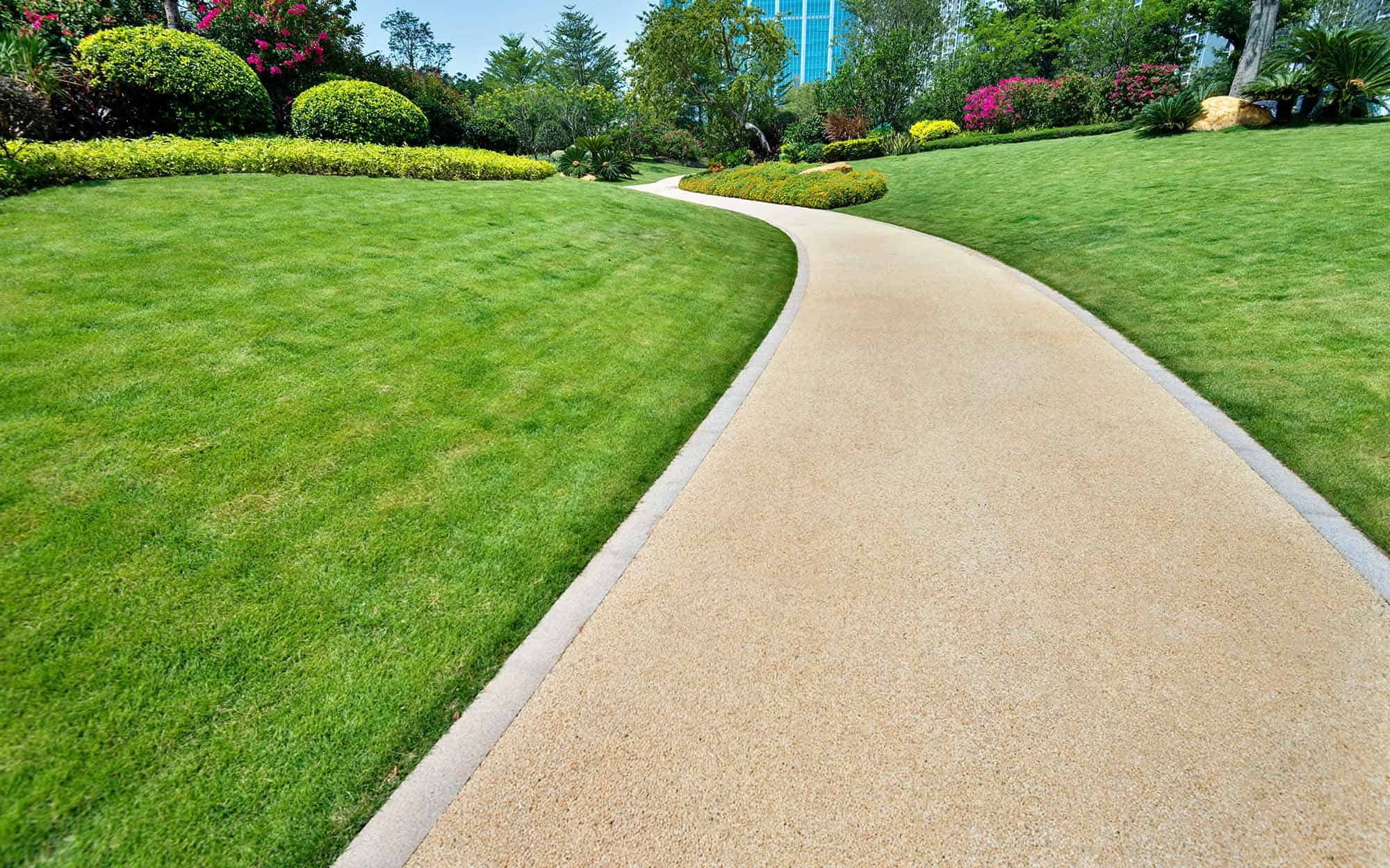 Park near modern office building
