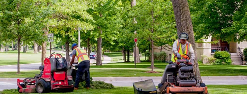 Landscapingtrendsfor2023